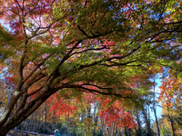 IMG_20251117_114631605_HDR